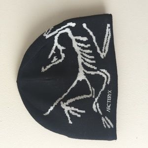 Arc'teryx Bird Head Toque Beanie